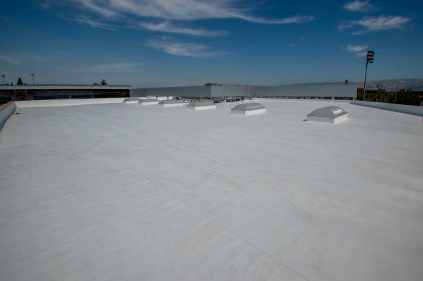 Best Asphalt Shingle Roofing  in Rose Lodge, OR